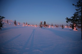 morgens um 6 Uhr im Riisitunturi Nationalpark, minus 22°